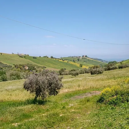 Giantonio